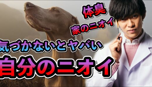 家や自分の体臭に気付ける【嗅覚リセット】法とは？