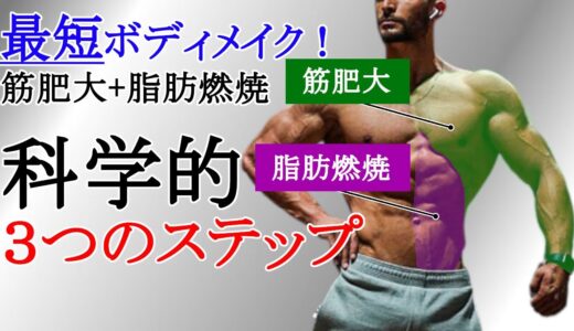 ボディメイクの最短ルート！筋肉を成長させながら脂肪を燃焼させる3つのステップを科学的に徹底解説！