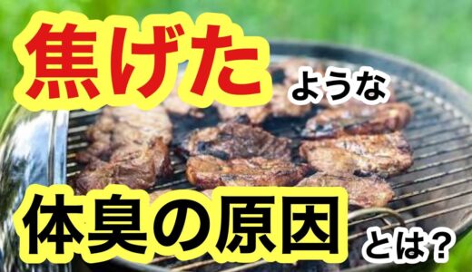 焦げたような体臭の原因とは？　血流と自律神経の専門治療院　大阪市中央区　鍼灸整体院したらパーソナルケア