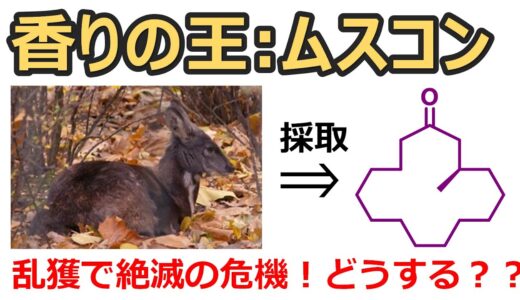 分子で大きな輪を作ると石鹸の香りがする！？