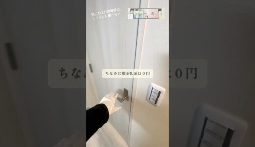 清潔感あるホワイトカラーの新築マンション #賃貸 #お部屋探し #roomtour