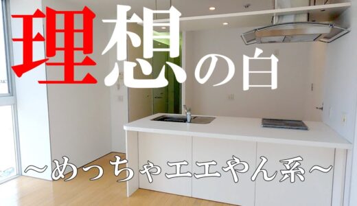 【理想の白系】清潔感溢れるお部屋♪40㎡を超えるワンルーム！？