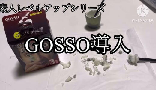 GOSSO鼻毛　閲覧注意！素人レベルアップシリーズ