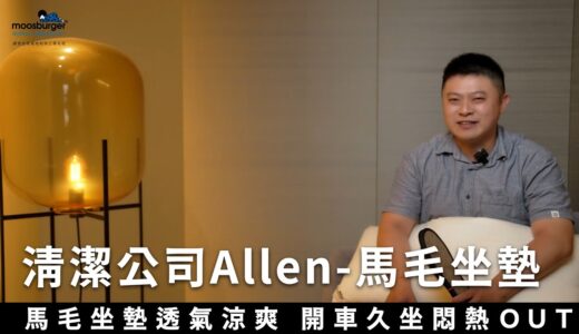 清潔公司Allen-馬毛坐墊分享