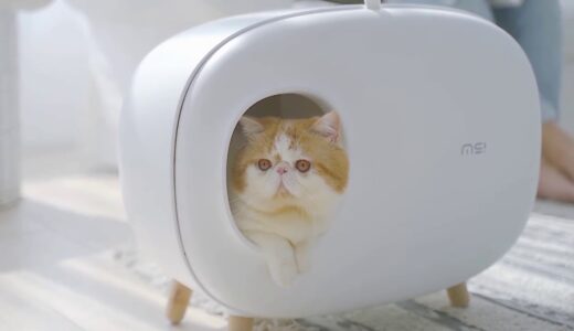 猫トイレ 猫が喜ぶ快適なトイレ ニオイ対策 清潔 健康 快適 コンパクト 砂の飛び散防止 理想的なトイレ環境
