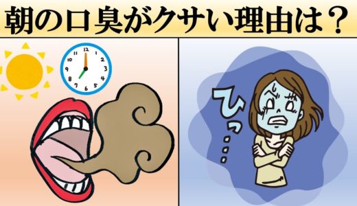 なぜ寝起きの息は臭いの？【朝の口臭の仕組み＋改善方法】