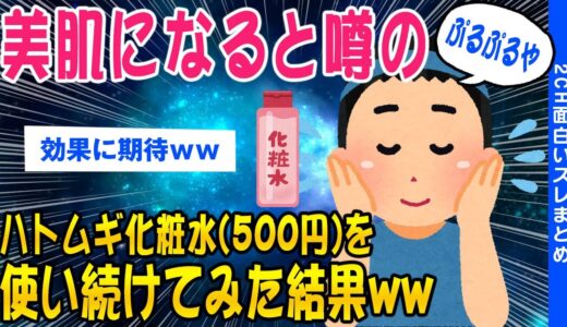 【2ch美容スレ】美肌を目指して500円のハトムギ化粧水を使い続けてみた結果ww【ゆっくり解説】