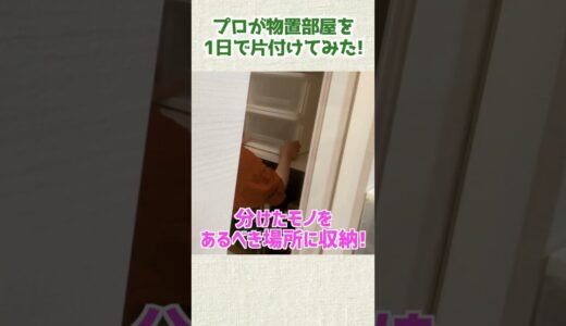 プロが物置部屋を1日で片付けてみた　#shorts