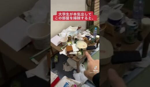 大学生が本気出してこの部屋を掃除すると、