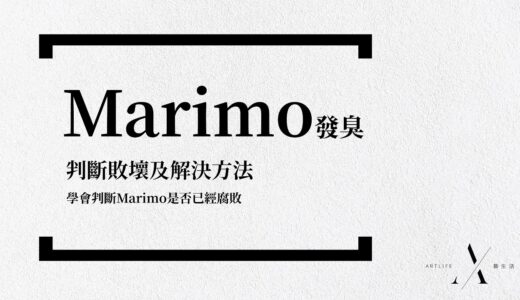 【綠藻球有異味】Marimo發臭：判斷敗壞及解決方法