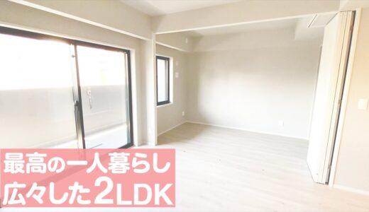 【ルームツアー】贅沢な一人暮らし！収納豊富な2LDK【部屋紹介】