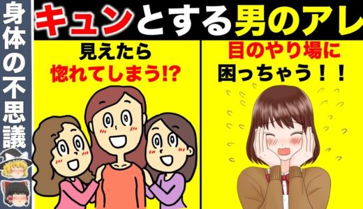 女性が色気を感じる男性の魅力的な特徴７選【ゆっくり解説】