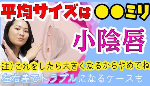 【大人のお話】女性の平均サイズは何ミリでしょうか？○○したら大きくなる！？【湘南美容クリニック女医が解説】