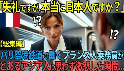 【総集編】鉄道乗務員のフランス人女性が、”自称”日本人の男に思わず激怒した理由【海外の反応】