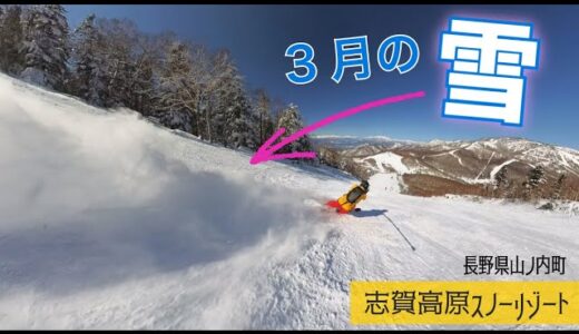 雪、ととのいました◆志賀高原スノーリゾート【 Slope Report at Shigakogen snow resort】