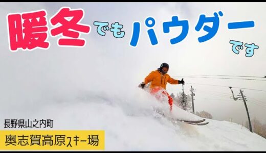 これが暖冬の奥志賀高原スキー場だ！【 Slope Report at Okushiga-kogen ski area】