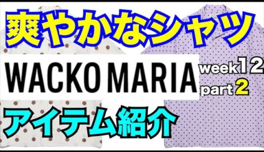 【爽やか】清潔感！ ワコマリア WACKO MARIA ドットシャツ登場！week12 part2