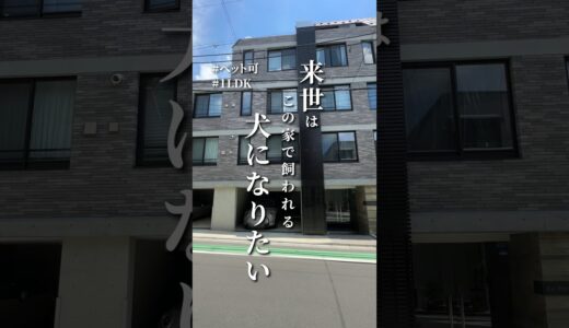 来世はこのお家で飼われる犬になりたい？🫶世田谷区池尻にあるルーフバルコニー付きの1LDK👩‍💻#不動産 #お部屋探し #賃貸 #ルームツアー