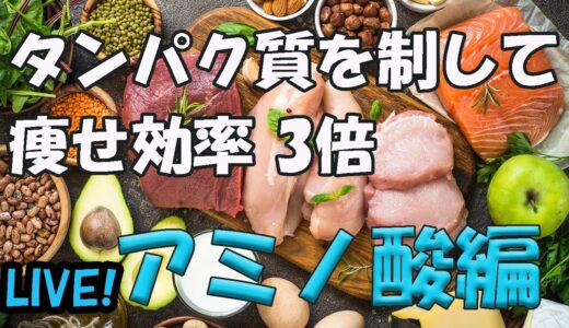 タンパク質を制してダイエットボディメイク効率をガチ上げ！！アミノ酸スコア編