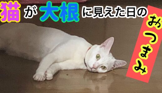 ★36ぺろ★イケニャンは清潔感が大事！家飲み大根猫