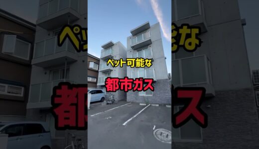 【札幌お部屋探し】ペット可能な都市ガス物件が北区に登場‼︎#札幌#札幌不動産＃札幌賃貸マンション#一人暮らし#同棲