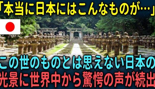 【海外の反応】「日本はこの世のものではない！」異様すぎる日本の光景に海外から驚きの声が続出！【総集編】