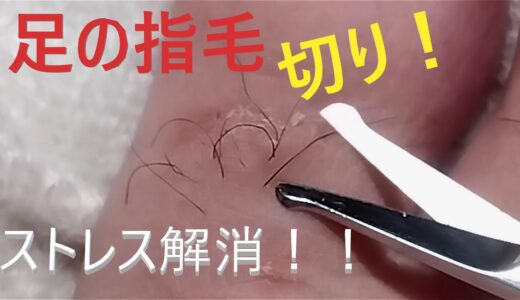 【ストレス解消！】足のムダ毛処理～Cutting toe hair with scissors～