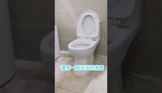 【官方站】馬桶清潔隔臭泡泡噴劑，除臭殺菌，輕松除垢，潔廁好物，居家必備，有效隔臭除異味