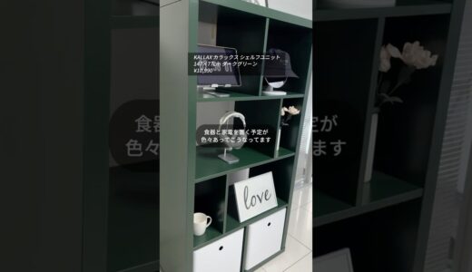 【IKEA購入品(収納棚)】100日後に清潔感ある部屋作り（9/100 day）