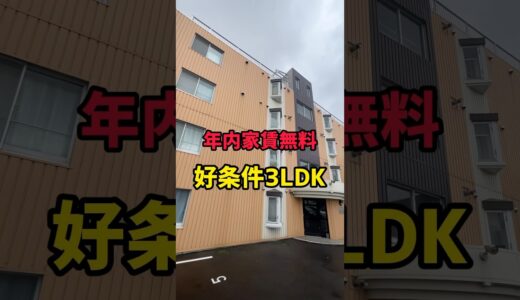 【札幌お部屋探し】年内家賃無料の好条件3LDKをご紹介!! #札幌マンション #札幌賃貸マンション #不動産 #札幌不動産 #ルームツアー