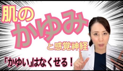 【肌のかゆみ】悩みから抜け出す方法