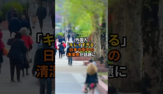 外国人「綺麗すぎる！」日本の街中の清潔感が話題に #海外の反応#外国の反応 #外国人の反応 #shorts