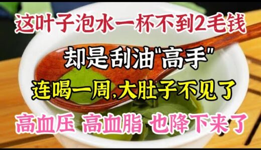 這葉子泡水一杯不到2毛錢，卻又「刮油減脂」高手，連喝一周大肚子不見了，高血壓 高血脂 高膽固醇也降下來了【我是可嘉媽媽】