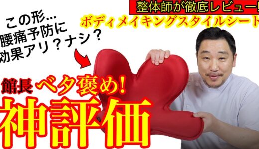 【Body Make Seat Style(ボディメイクシート スタイル)】骨盤サポートチェアを整体師が1ヶ月使ってみた感想