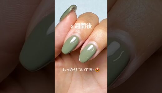 ペロリンの２つ比べてみました🌼どっちもオススメのピールオフジェルネイルです🌈健康爪さんはEASY💚ダメージ爪さんはSUPER💛#ネイル #ネイルチップ  #セルフネイル #セルフジェルネイル