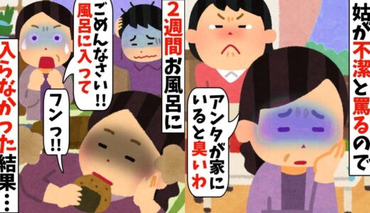 【2ch面白いスレ】クソ姑に「不潔！臭い！」といびられ続け我慢の限界→そこまで言うなら…2週間お風呂に入らず異臭を放ってやった結果…【ゆっくり解説】 【バカ】