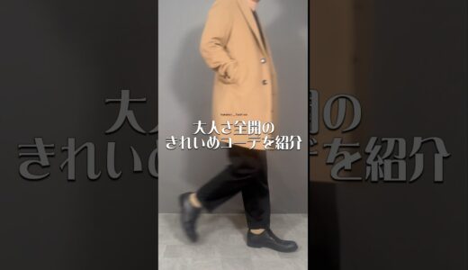 【fashion】【lookbook】清潔感とクールさを兼ね備えた大人コーデを紹介‼︎この2色のカラーの組み合わせが断然オススメです！#shorts #fashion #lookbook