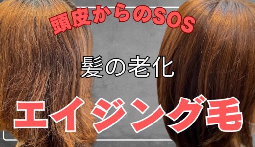 【髪に悩む40代・50代女性必見】老化した髪→エイジング毛その原因と改善方法