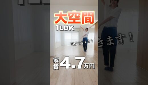 【人気の大空間LDKが家賃4万円台…!?】白基調のオシャレなお部屋は同棲も可能！大空間1LDK物件のご紹介♪