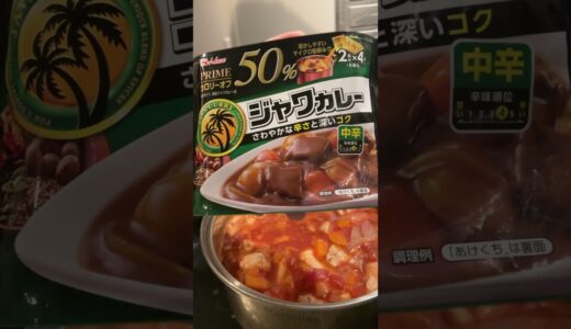 1ヶ月で5キロ痩せたダイエットカレーの作り方 #shorts