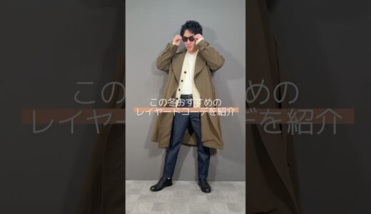 【fashion】【lookbook】お気に入りのアイテムで組み合わせたレイヤードコーデを紹介‼︎清潔感ある大人カジュアルコーデの完成です！#shorts #fashion #lookbook