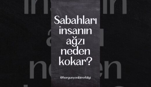 Sabahları insanın ağzı neden kokar?